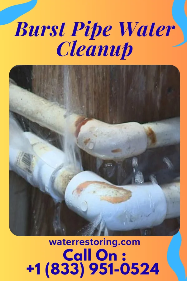 Burst Pipe Water Cleanup in Alton, IN