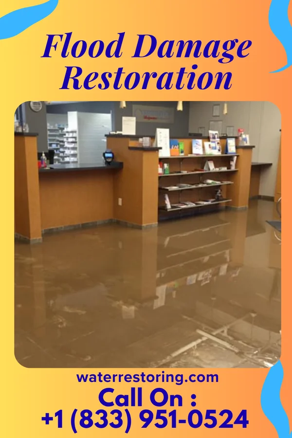 Flood Damage Restoration in Alton, IN