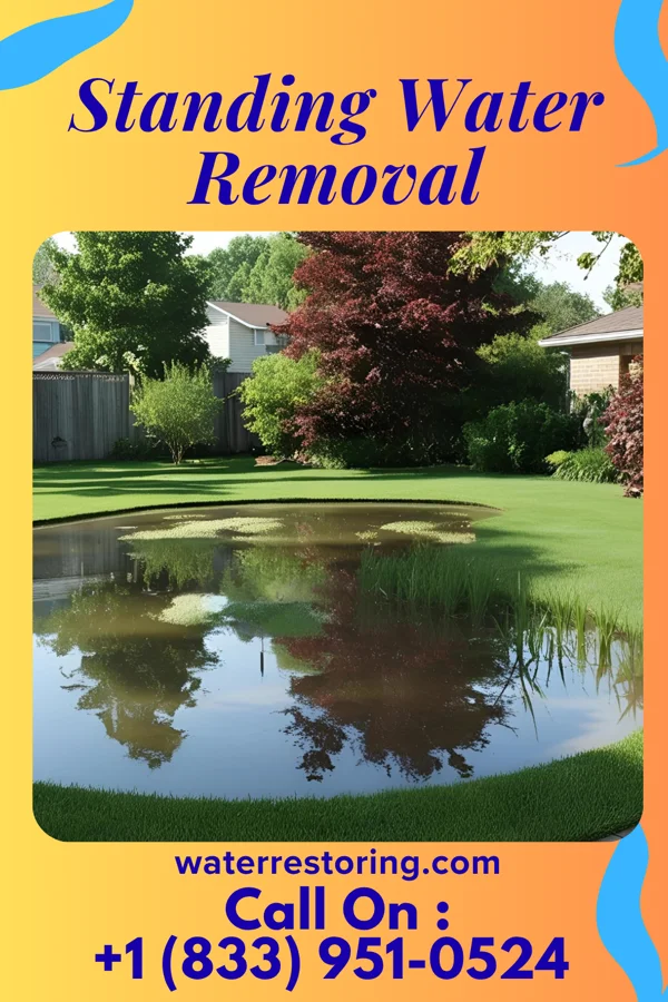 Standing Water Removal in Alton, IN